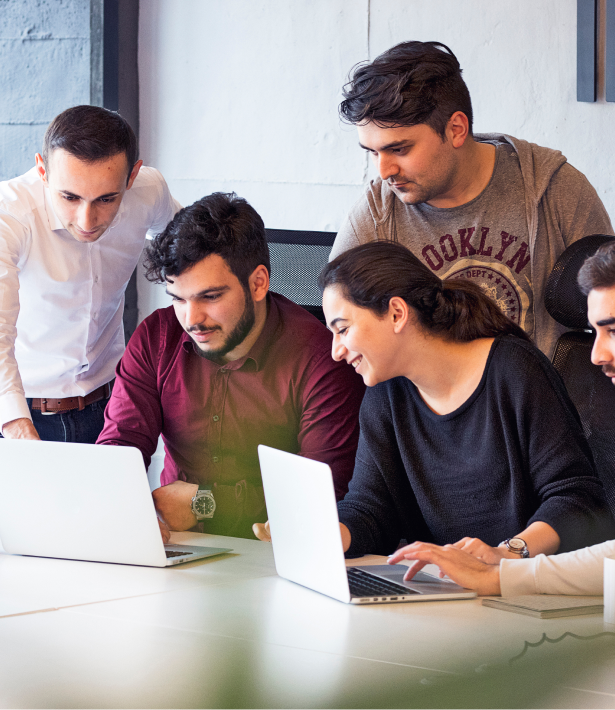 web development team working together on a project.