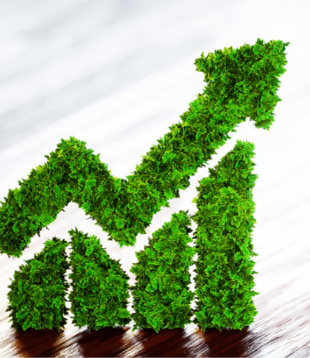 Digital marketing growth chart