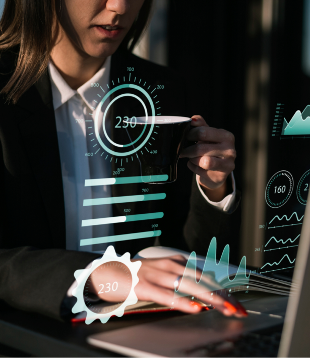 Web professional analyzing performance metrics