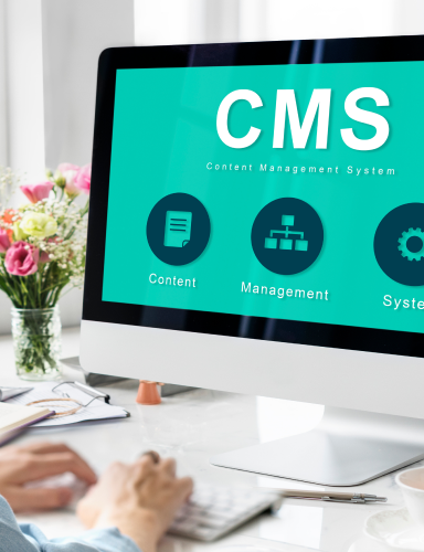 Custom CMS Development & Platform Customization